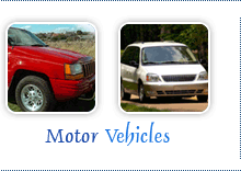 Motor Vehicles